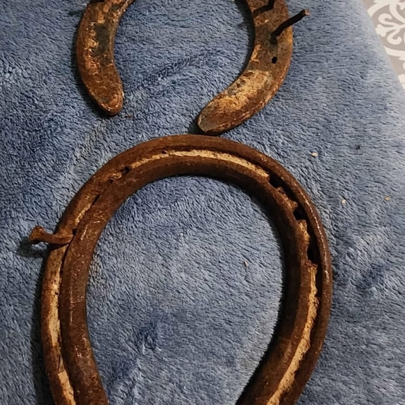 Rustic Horseshoe Decor - Picture 2 of 2